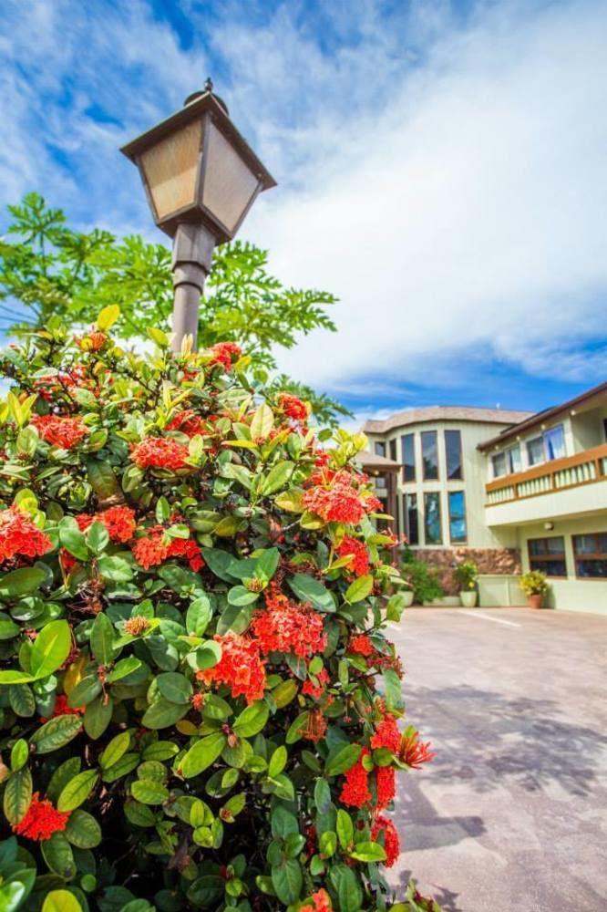 House Of Fountains Bed & Breakfast Lahaina Exterior photo